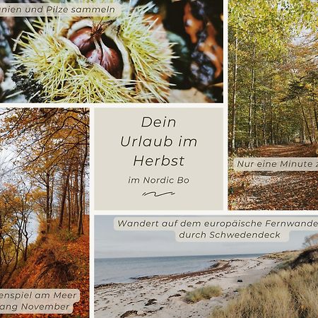 Nordic Bo -Wellen Wald Und Wilde Kueste- Strandnahe Doppelhaushaelfte Mit Waldterrasse Surendorf Exteriör bild
