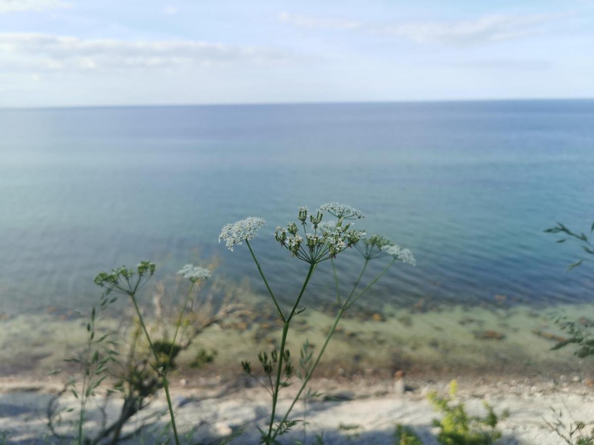 Nordic Bo -Wellen Wald Und Wilde Kueste- Strandnahe Doppelhaushaelfte Mit Waldterrasse Surendorf Exteriör bild