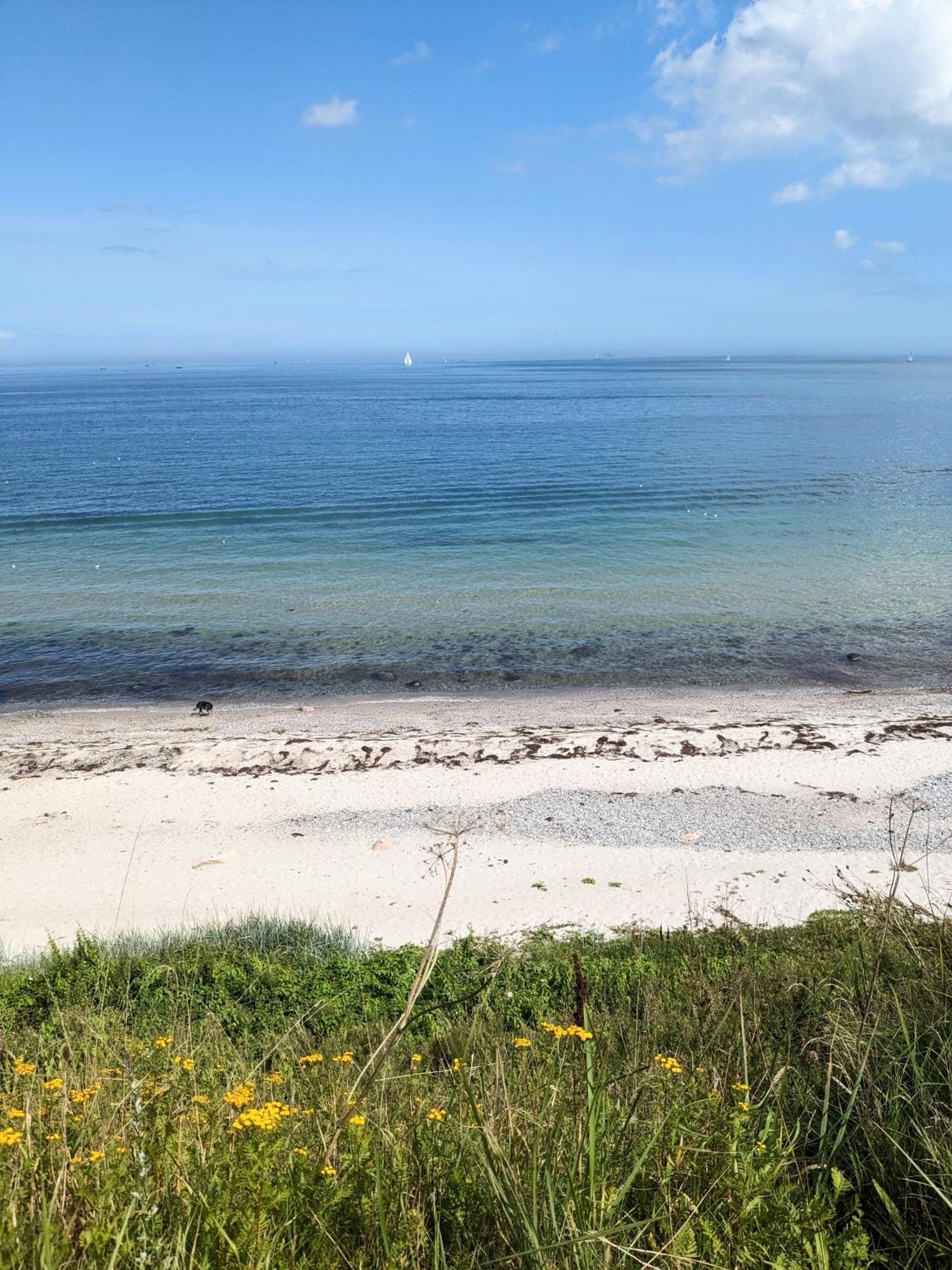 Nordic Bo -Wellen Wald Und Wilde Kueste- Strandnahe Doppelhaushaelfte Mit Waldterrasse Surendorf Exteriör bild