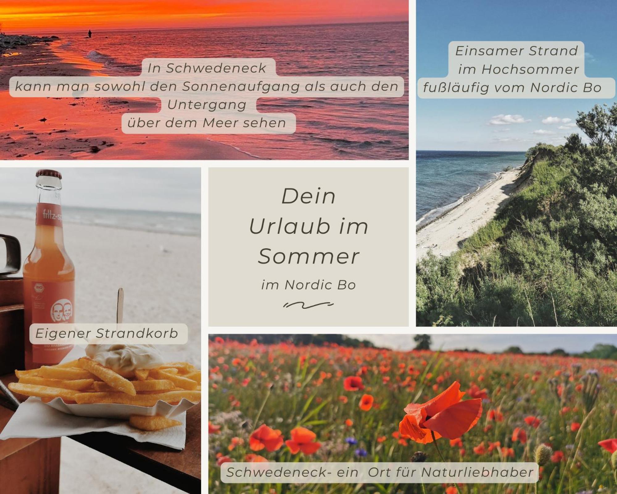 Nordic Bo -Wellen Wald Und Wilde Kueste- Strandnahe Doppelhaushaelfte Mit Waldterrasse Surendorf Exteriör bild