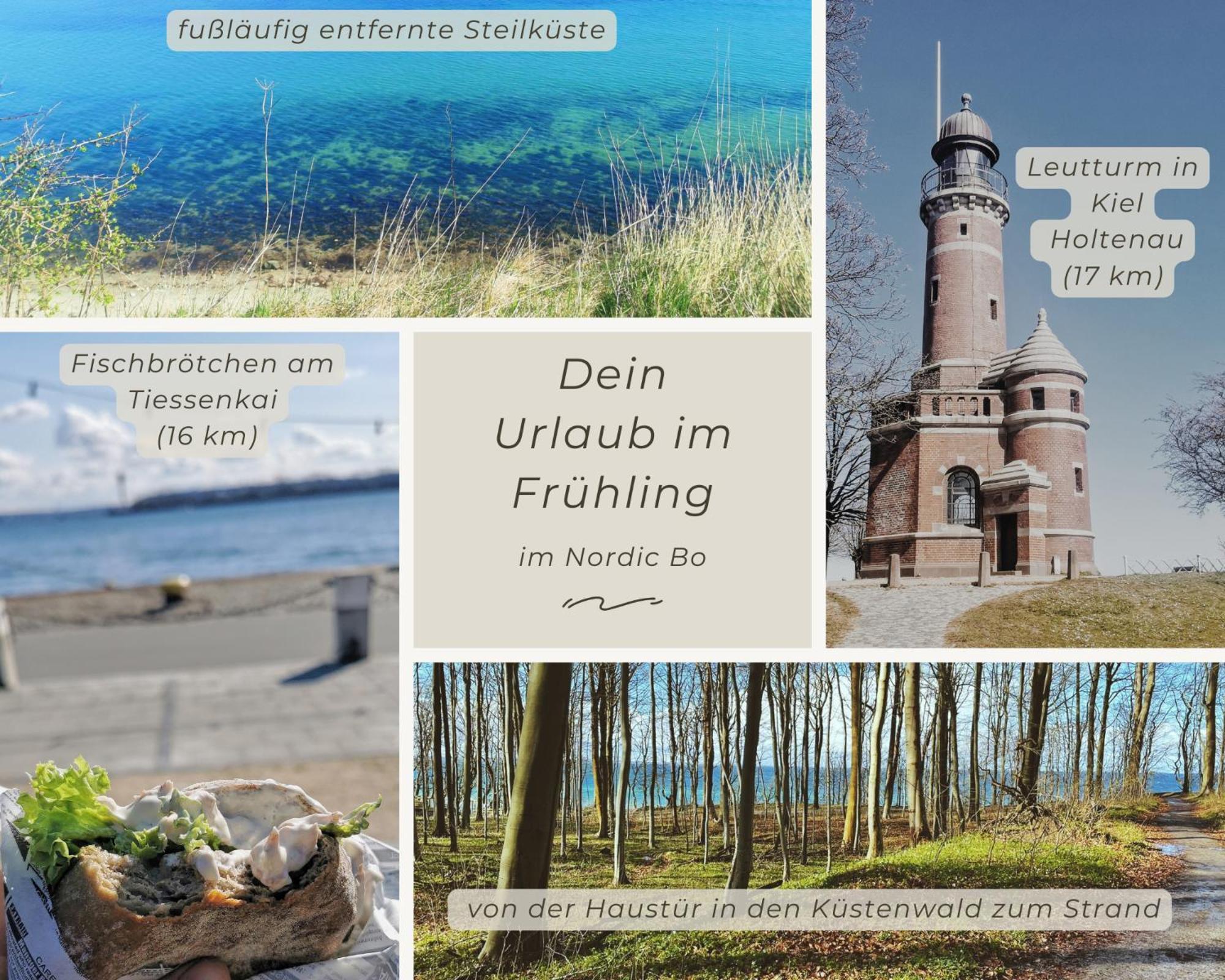 Nordic Bo -Wellen Wald Und Wilde Kueste- Strandnahe Doppelhaushaelfte Mit Waldterrasse Surendorf Exteriör bild